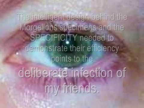 how to react to a chemical or biological attack