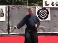 Muso Jikiden Eishin Ryu