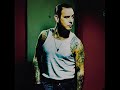 mike ness  wildwood flower