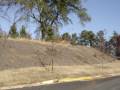 Brentwood Estates - 29 - 95' Lots