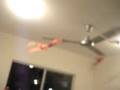 sophie's bras haha