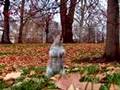 Squirrels dancing to Christina Aguilerra