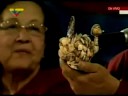 Imagen de previsualización de YouTube