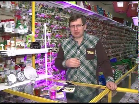 YouTube Трейлер