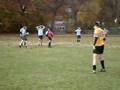 Domonik Boehmer-Rugby