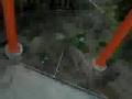 Tatsu at Six Flags Magic Mountain-FRONT SEAT!!