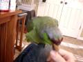 videos de Lily says HELLO