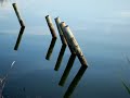 Albufera