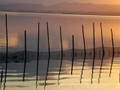 videos de Albufera