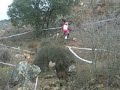 corsino-en-villar-del-olmo.html