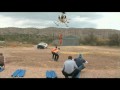 Bighorn Sheep Capture