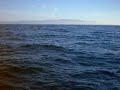 Whale Watching Tour Part 1