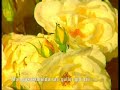 bedirhan-g-ke-anne-.html