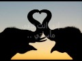 كم يوم وحيعده