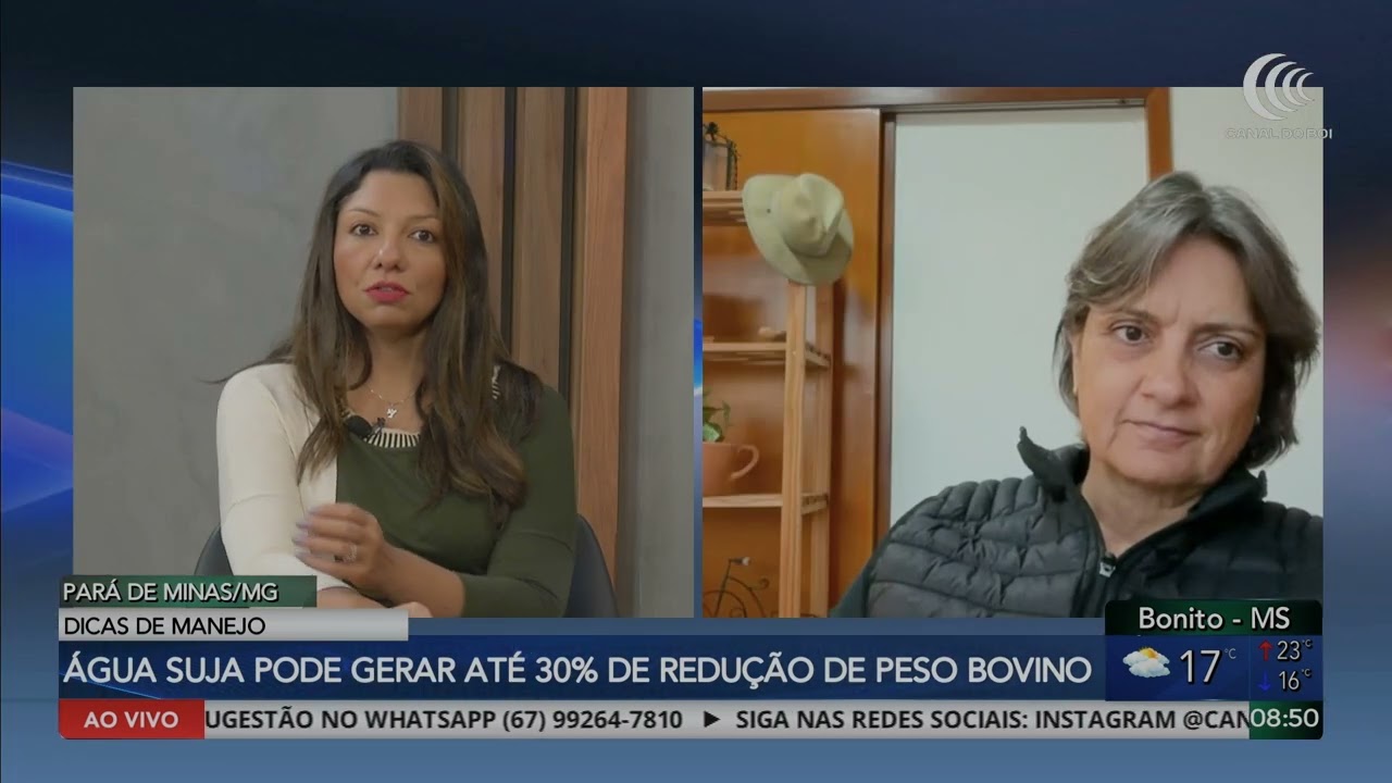 Água suja pode gerar até 30% de redução de peso bovino