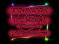 EXHIBICION DE LA ACADEMIA DE BAILE SALZUMBA DANCE COMPANY EN EL SALON DE BAILE PALMERAS