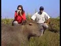 Esteros del Iberá Esteros del Iberá