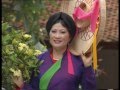 Đào Nguyên