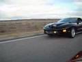 '02 Trans Am WS6 -VS- '01 Trans Am