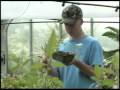 Wayne-Finger Lakes BOCES: Technical and Career Education
