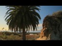 Save Trestles and San Onofre PSA
