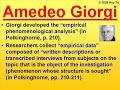 A Critique of Existential-Phenomenology and Hermeneutics : Rey Ty philosophy