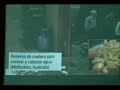 David Holmgren - Curso de Permacultura en México #7