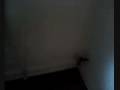 videos de radiator