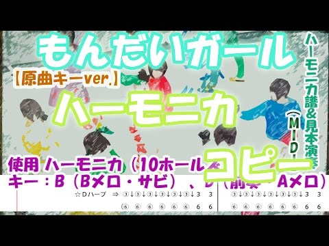 動画