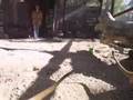 meerkat wildlife preserve