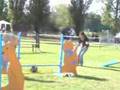 Bridget 1er concours agility Erstein 23.09.07
