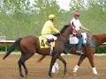 Horse Racing at the Woodlands Horse Racing at the Woodlands