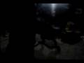 Bloodhound video