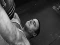 Animal Pak, Chest Part Two Animal Pak, Chest Part Two