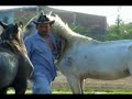Panchito Norbert \"Pueblo mio\"