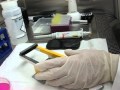 Caltech Engineers Build Smart Petri Dish