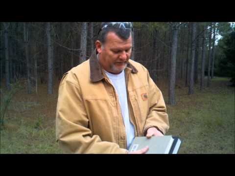 .17 HMR vs .22 Magnum