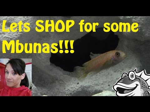 how to make mbuna grow faster