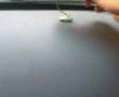 Mini Mini Carros