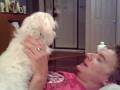 videos de Dogbook Movie: Missys love for men...so cute