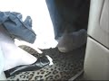 Pedal pumping and dipping
