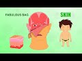 Learn about Human Body Parts For Kids - SKIN