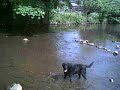 billys-big-day-out-in-derbyshire.html