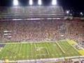 GEAUX Tigers!