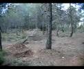 pi�azo rikard.onteniente