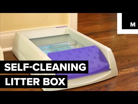 Never Scoop Your Kitty's Poop Again With This Self-Cleaning ...