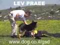 Blek from Lev Praee - muzzle attack