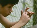 430 Trailer - 430 - Flixster Video