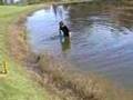 Niclas rutscht in das Wasserhindernis