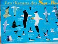 8) A MOI FRANCE - PERROS-GUIREC - DINARD - DAY 9
